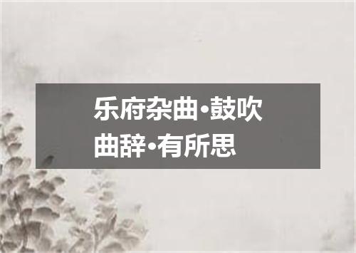 乐府杂曲·鼓吹曲辞·有所思