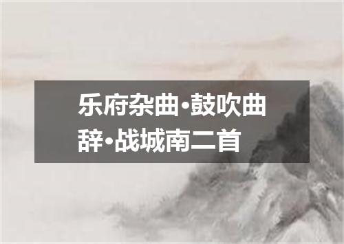 乐府杂曲·鼓吹曲辞·战城南二首