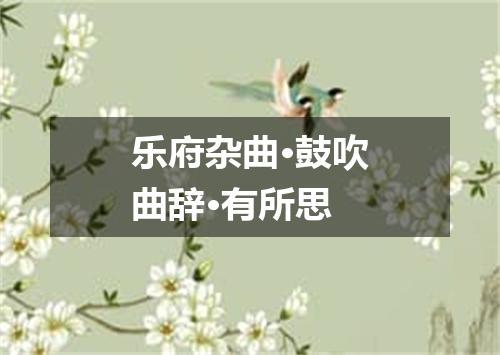 乐府杂曲·鼓吹曲辞·有所思