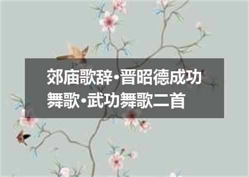 郊庙歌辞·晋昭德成功舞歌·武功舞歌二首