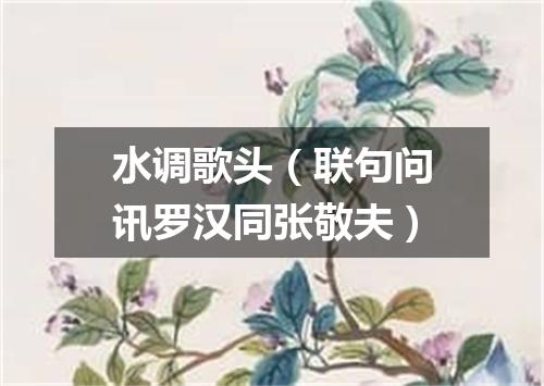 水调歌头（联句问讯罗汉同张敬夫）