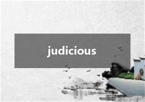 judicious是什么意思