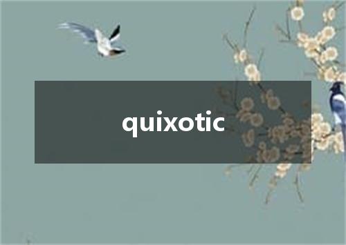 quixotic是什么意思