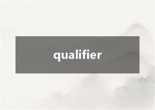 qualifier是什么意思