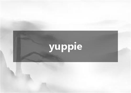 yuppie是什么意思