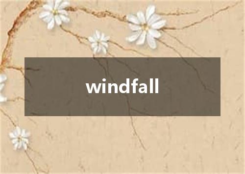 windfall是什么意思