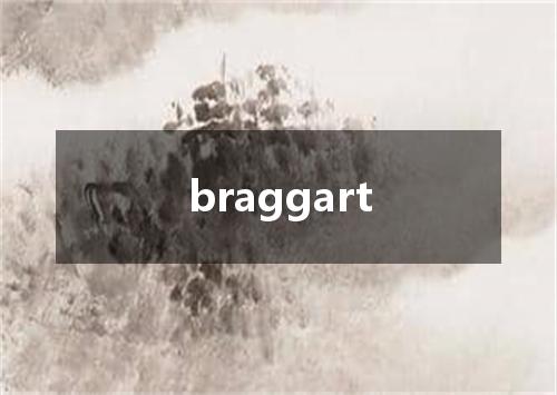 braggart是什么意思