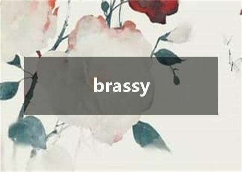 brassy是什么意思