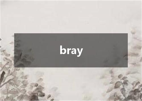 bray是什么意思