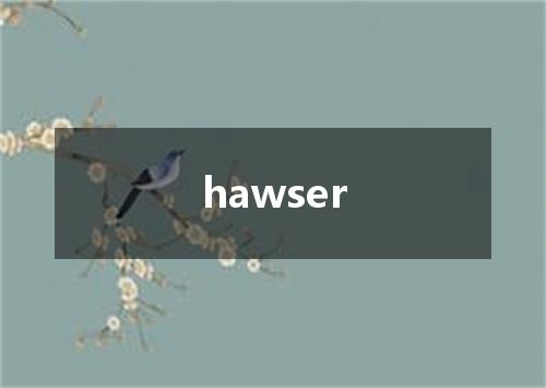 hawser是什么意思