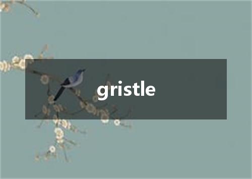 gristle是什么意思