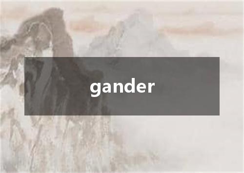 gander是什么意思