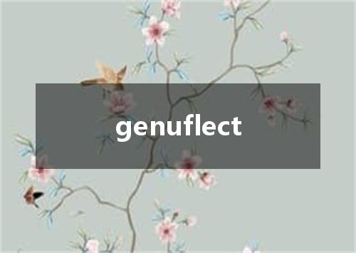 genuflect是什么意思