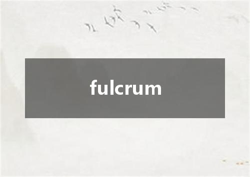 fulcrum是什么意思