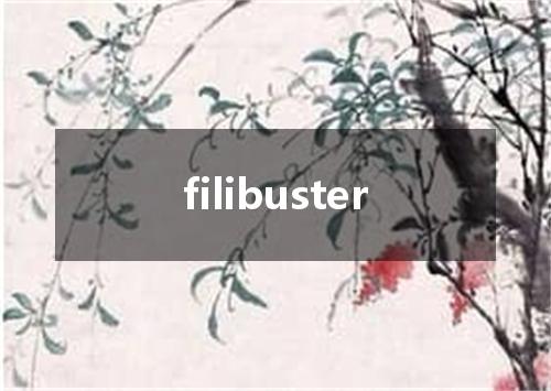 filibuster是什么意思