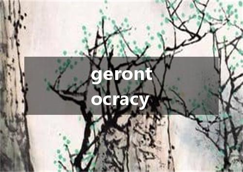 gerontocracy是什么意思