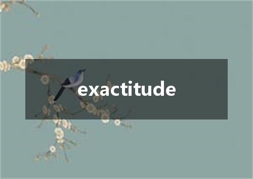 exactitude是什么意思