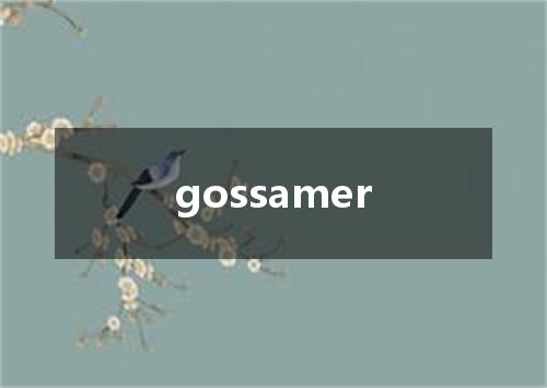 gossamer是什么意思