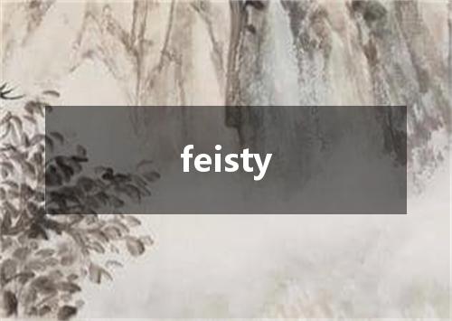 feisty是什么意思