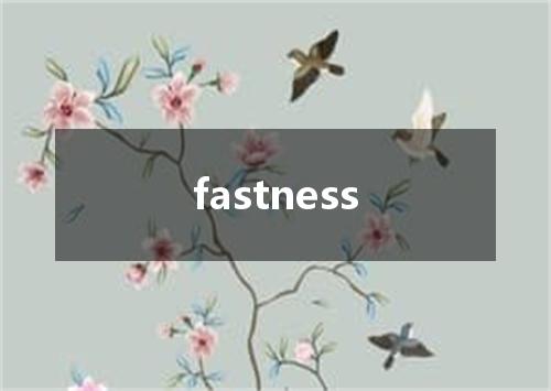 fastness是什么意思