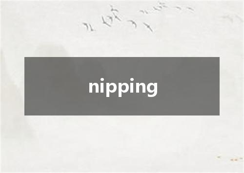 nipping是什么意思