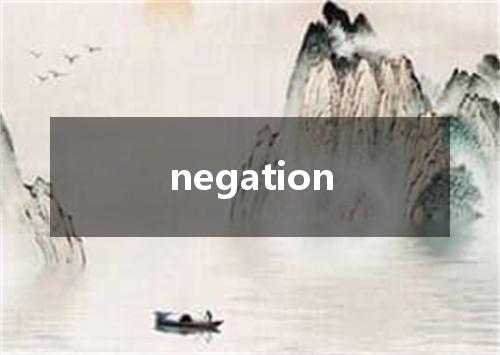 negation是什么意思