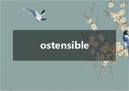 ostensible是什么意思