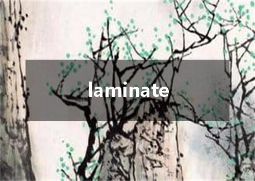 laminate是什么意思