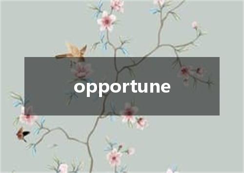 opportune是什么意思