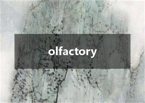 olfactory是什么意思