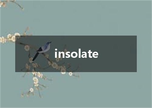 insolate是什么意思