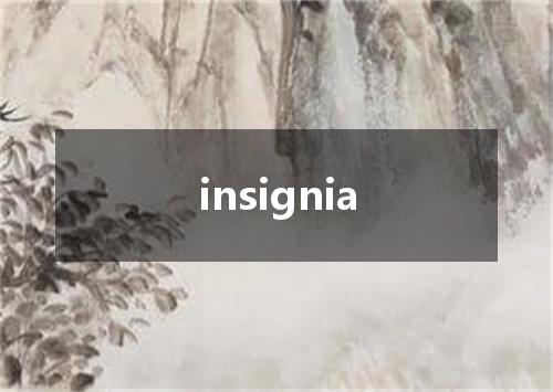 insignia是什么意思