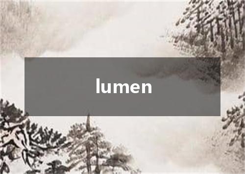 lumen是什么意思