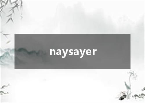 naysayer是什么意思