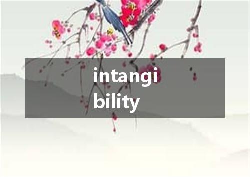 intangibility是什么意思