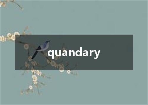 quandary是什么意思