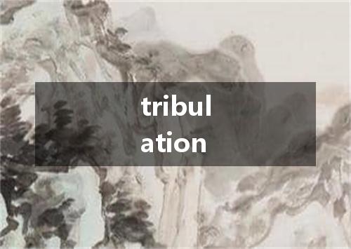 tribulation是什么意思