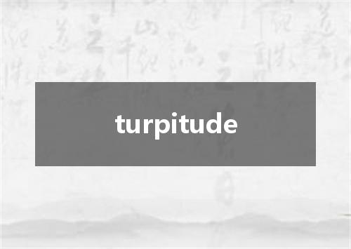 turpitude是什么意思