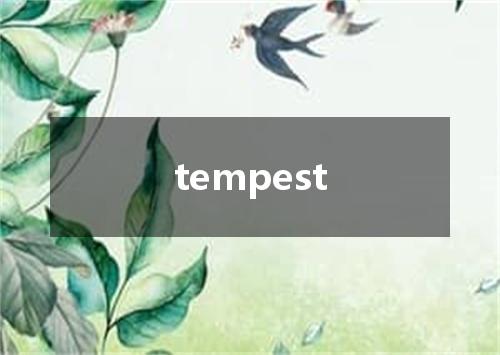 tempest是什么意思