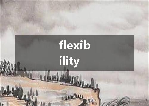 flexibility是什么意思