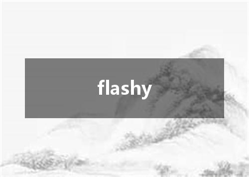 flashy是什么意思