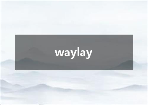 waylay是什么意思