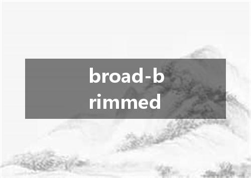 broad-brimmed是什么意思