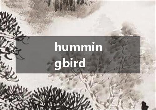 hummingbird是什么意思