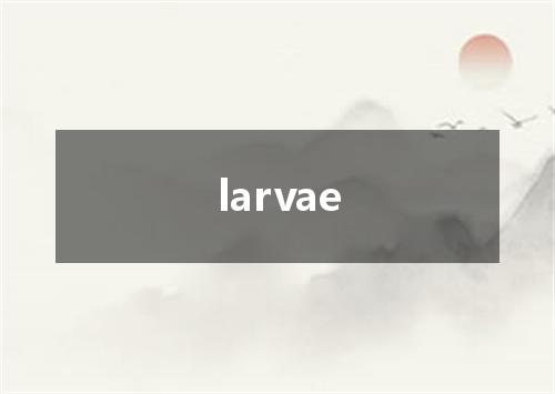 larvae是什么意思