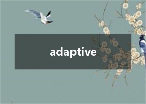 adaptive是什么意思