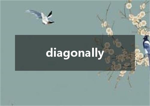 diagonally是什么意思