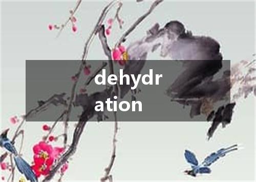 dehydration是什么意思