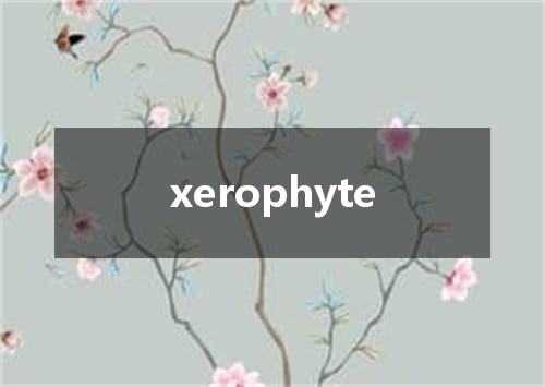 xerophyte是什么意思