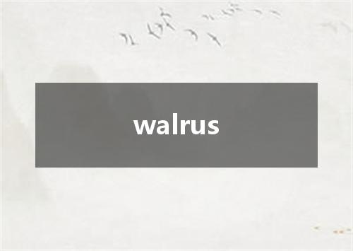 walrus是什么意思